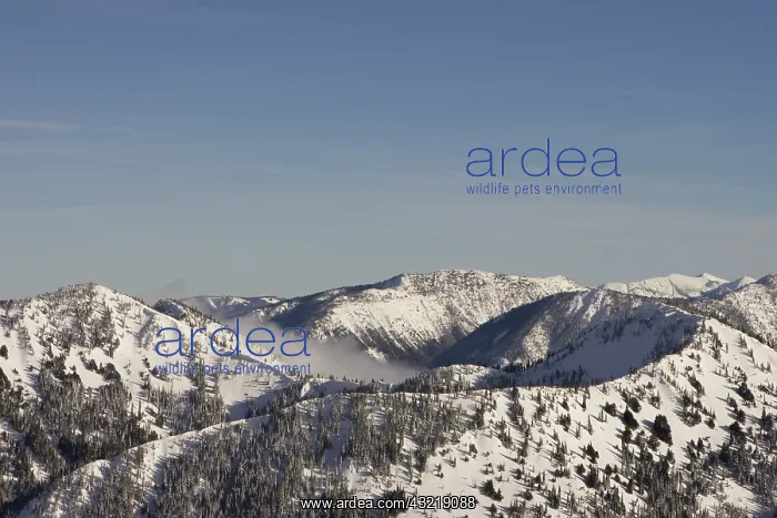 : United States, Washington, Crystal Mountain : United States, Washington, Crystal Mountain