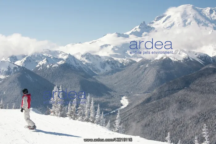  : United States, Washington, person on snowboard
