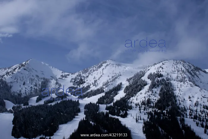 : United States, Washington, ski trails at : United States, Washington, ski trails at