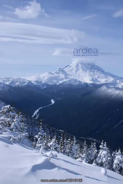 : United States, Washington, snow-covered : United States, Washington, snow-covered