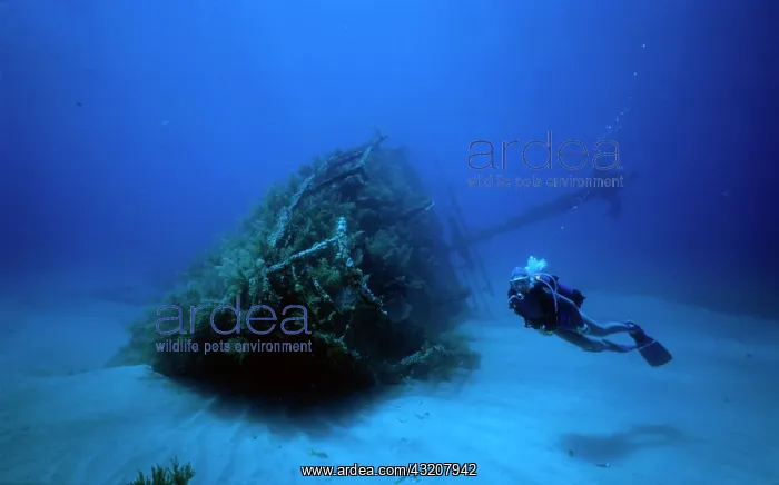  : Unknown shipwreck off the coast of Cuba, Caribbean