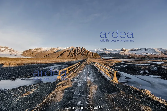 : Unpaved road, bridge, glacier Vatnajokull : Unpaved road, bridge, glacier Vatnajokull