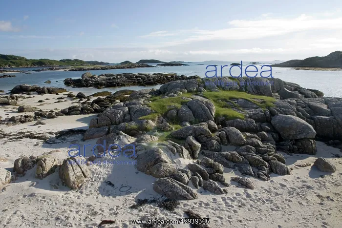 : Unspoilt wild beach at low tide from Fidden Farm : Unspoilt wild beach at low tide from Fidden Farm