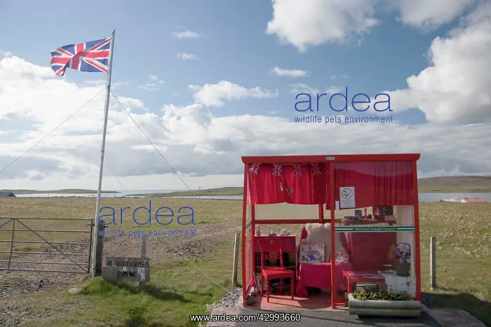 : Unst Bus Shelter : Unst Bus Shelter