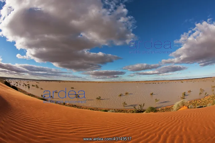 : Unusual flood water between dunes seen from Big Red : Unusual flood water between dunes seen from Big Red