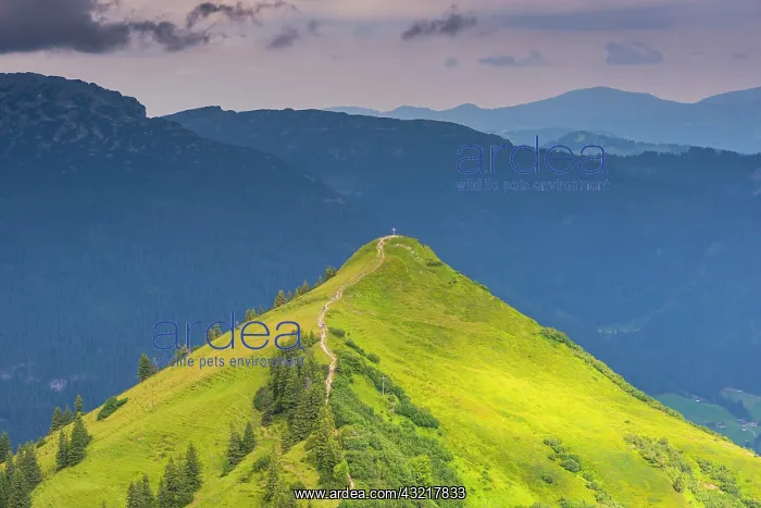  : Upcoming thunderstorm over Kuhgehrenspitze, 1910m