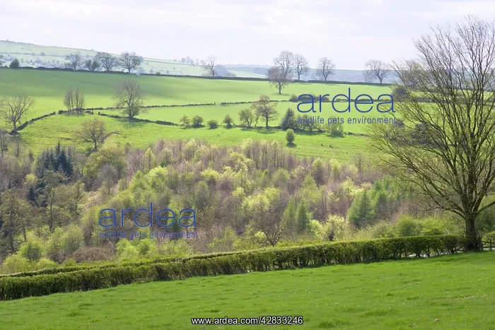 : Upland Pasture and Woodland : Upland Pasture and Woodland