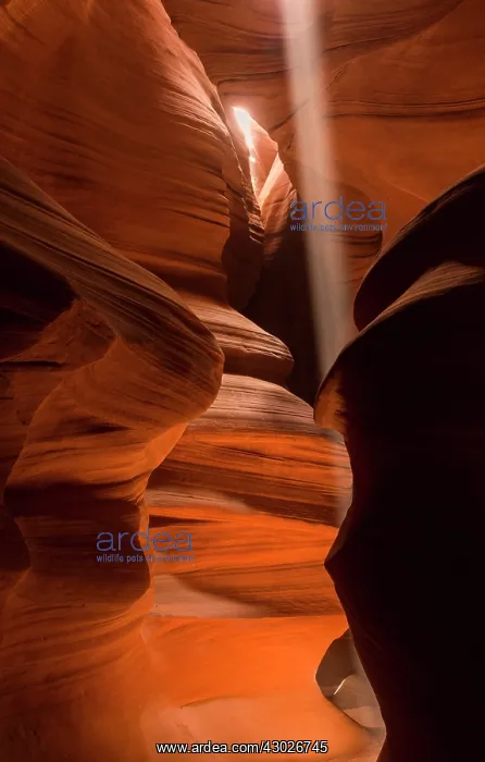 : Upper Antelope Canyon : Upper Antelope Canyon