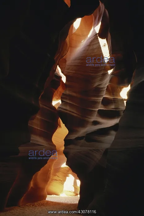 : Upper Antelope Canyon, Arizona : Upper Antelope Canyon, Arizona