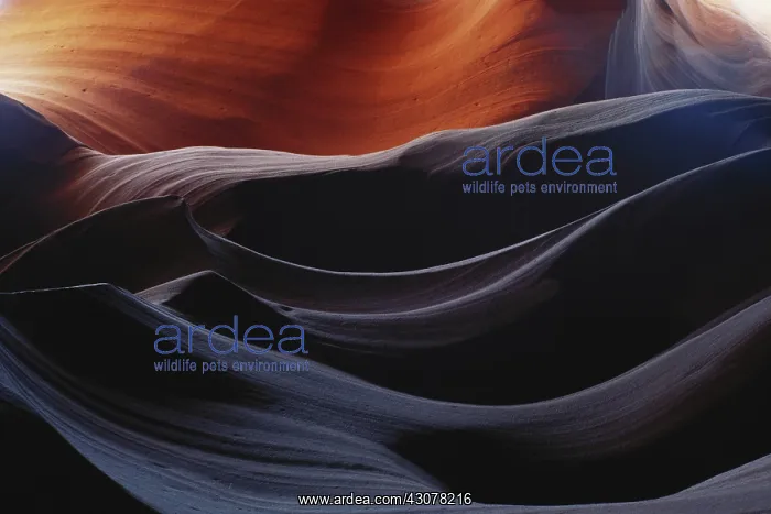 : Upper Antelope Canyon, Arizona : Upper Antelope Canyon, Arizona