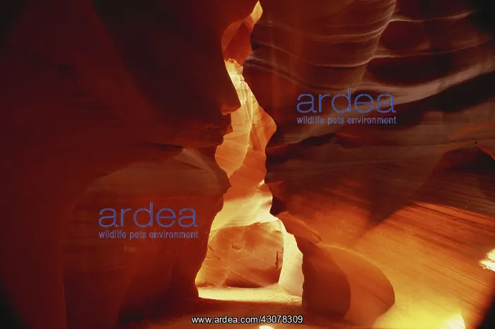 : Upper Antelope Canyon, Arizona : Upper Antelope Canyon, Arizona