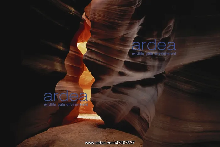 : Upper Antelope Canyon, Arizona : Upper Antelope Canyon, Arizona