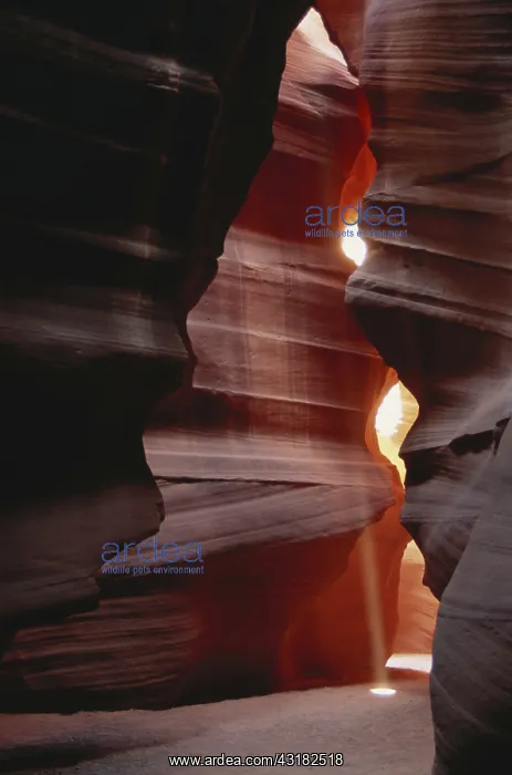 : Upper Antelope Canyon, Arizona : Upper Antelope Canyon, Arizona