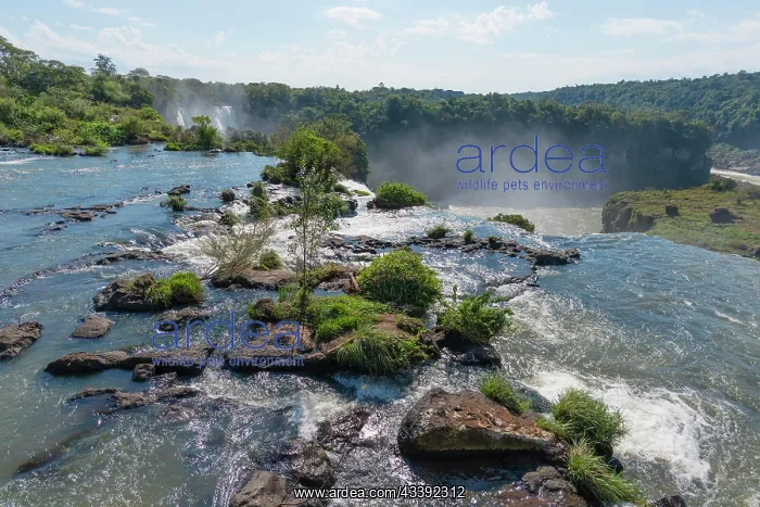 : Upper Circuit, Upper Way, Cataratas del Iguaz : Upper Circuit, Upper Way, Cataratas del Iguaz