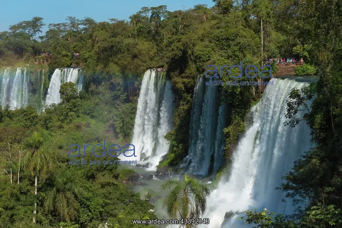 : Upper Circuit, Upper Way, Tourists, Cataratas de : Upper Circuit, Upper Way, Tourists, Cataratas de