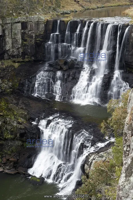  : Upper Ebor Falls, Guy Fawkes River National