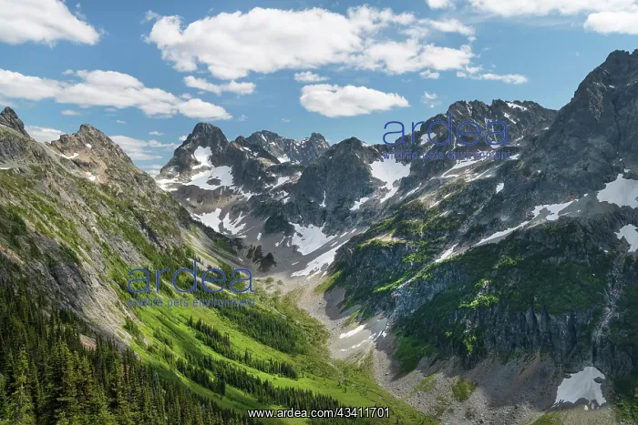 : Upper Fisher Creek basin. Fisher Peak, Black Peak : Upper Fisher Creek basin. Fisher Peak, Black Peak