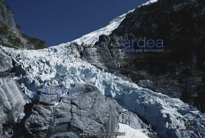 : Upper Grindelwald Glacier : Upper Grindelwald Glacier