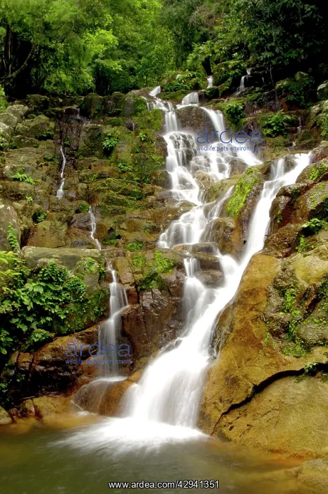 : An upper part of Mukut Waterfalls, surrounded by : An upper part of Mukut Waterfalls, surrounded by