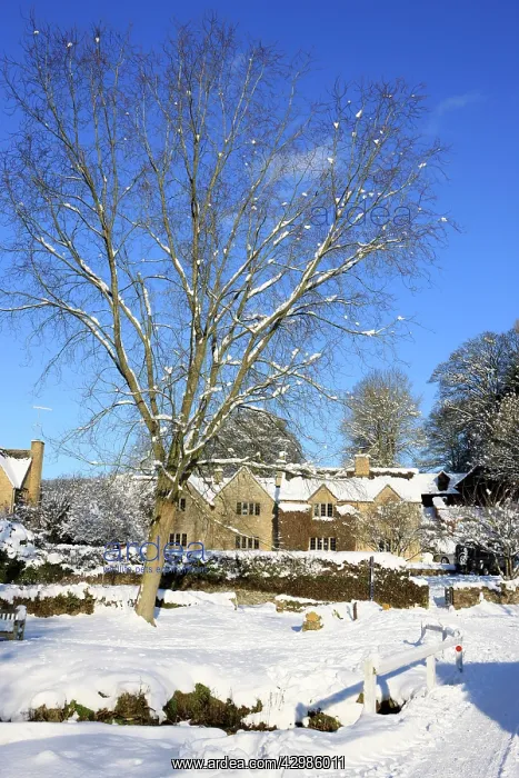 : Upper Slaughter - covered in snow : Upper Slaughter - covered in snow