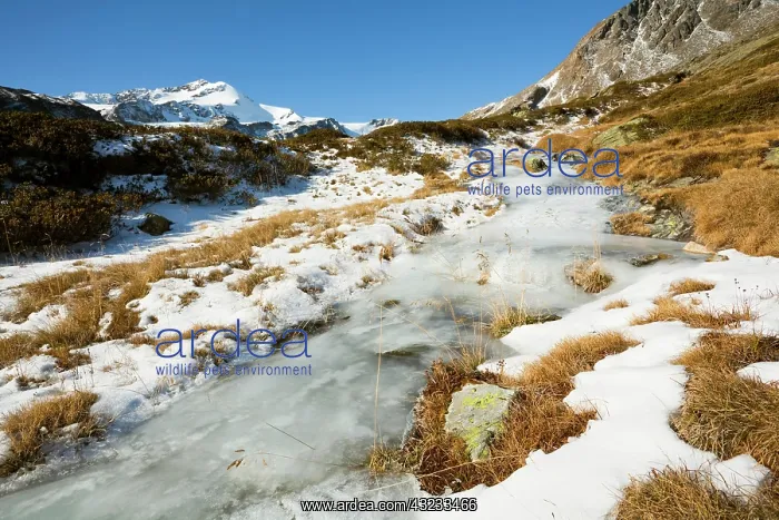 : The upper valley martelltal (Butzental) : The upper valley martelltal (Butzental)