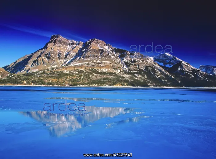 : Upper Waterton Lake in winter in Waterton : Upper Waterton Lake in winter in Waterton