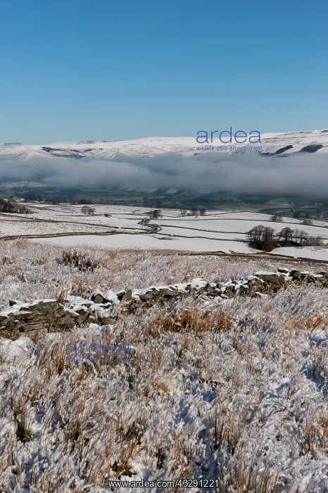 : Upper Wensleydale near Hawes covered in snow, looking : Upper Wensleydale near Hawes covered in snow, looking