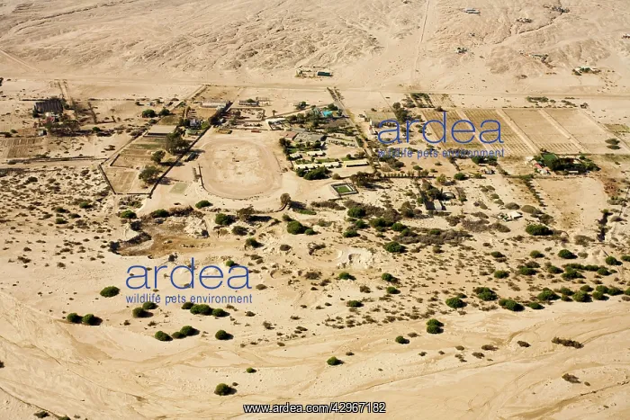 : Uran development spreading into the desert - small : Uran development spreading into the desert - small