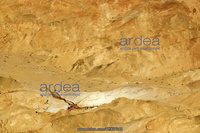: Uranium Prospecting taking place in the Moon Valley : Uranium Prospecting taking place in the Moon Valley