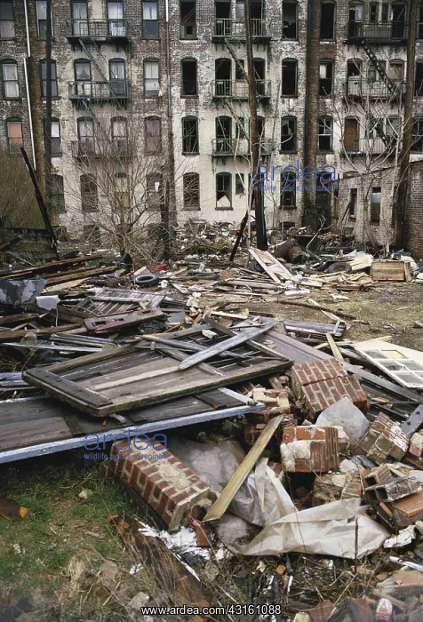 : Urban Decay : Urban Decay