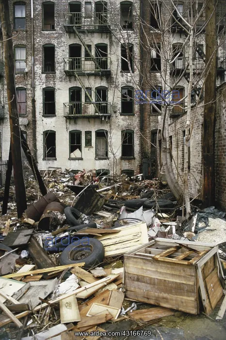 : Urban Decay : Urban Decay