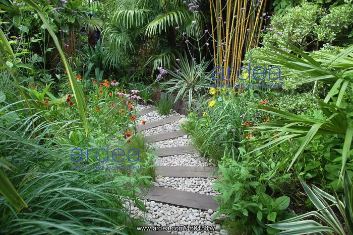 : Urban garden : Urban garden