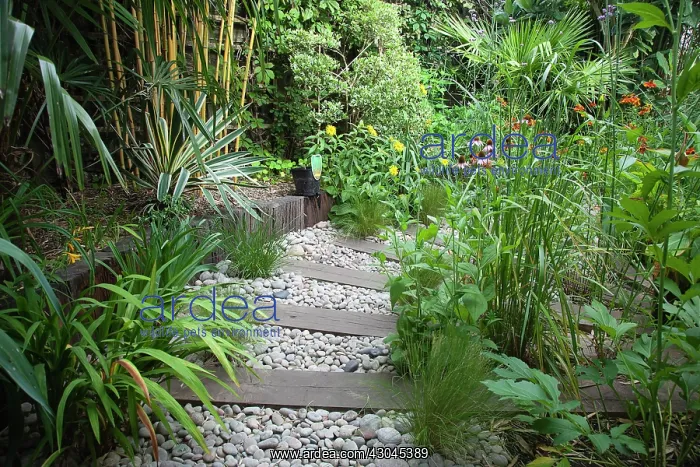: Urban garden : Urban garden