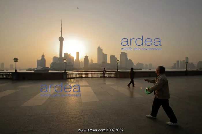 : Urban pollution, Shanghai, China, 2007 : Urban pollution, Shanghai, China, 2007
