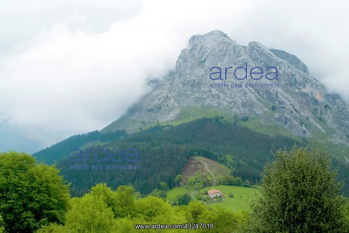 : Urkiola Natural Park. Untzillatz mount : Urkiola Natural Park. Untzillatz mount