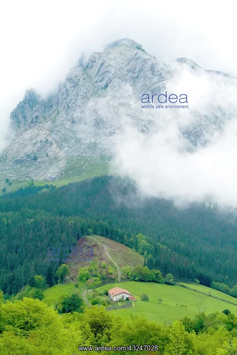 : Urkiola Natural Park. Untzillatz mount : Urkiola Natural Park. Untzillatz mount