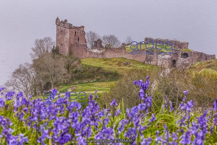 : Urquhart Castle - view from Strone toward this famous : Urquhart Castle - view from Strone toward this famous