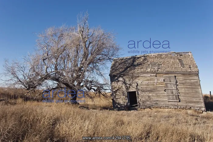 : USA - Abandoned farmhouse : USA - Abandoned farmhouse