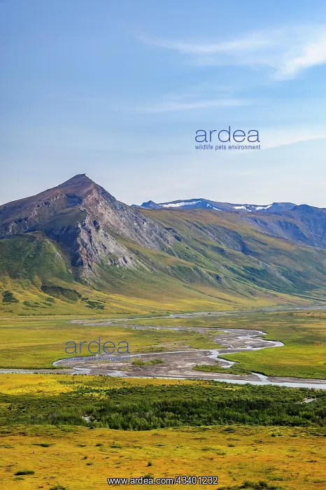 : USA, Alaska, Gates of the Arctic National Park : USA, Alaska, Gates of the Arctic National Park