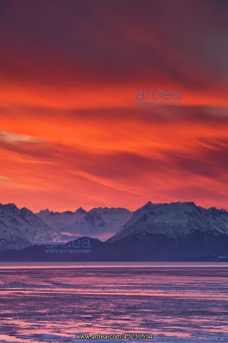  : USA, Alaska, Kachemak Bay. Intense sunrise