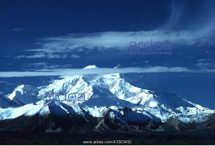 : USA, Alaska - Mt. McKinley, earth cover Muldrow : USA, Alaska - Mt. McKinley, earth cover Muldrow