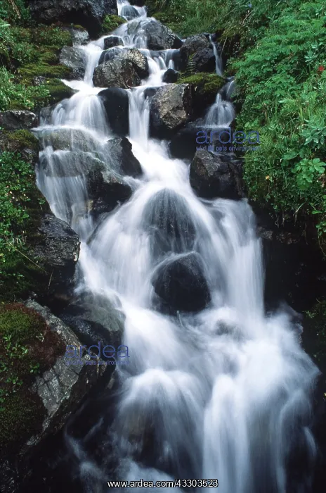 : USA, Alaska - Waterfalls, Eielson Bluffs : USA, Alaska - Waterfalls, Eielson Bluffs