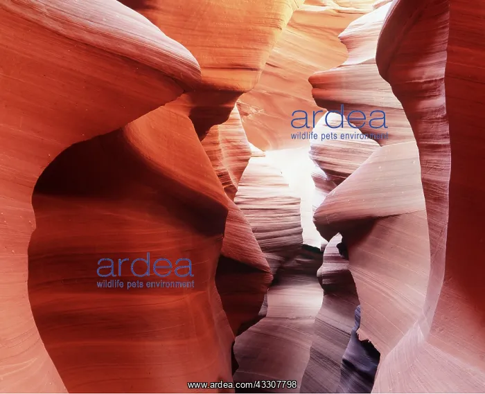 : USA - Antelope Canyon - Navajo sandstone : USA - Antelope Canyon - Navajo sandstone
