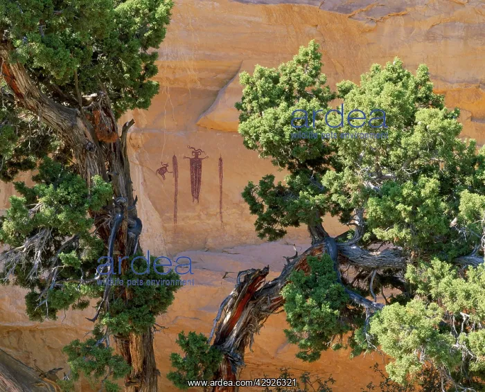 : USA - archaeology Sinbad pictographs / petroglyphs : USA - archaeology Sinbad pictographs / petroglyphs