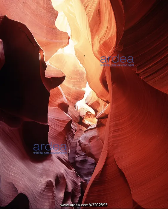  : USA, Arizona - Antelope Canyon, Navajo Sandstone