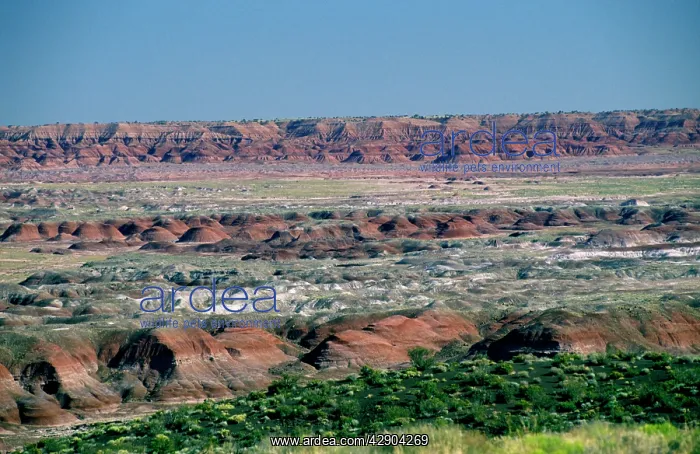 : USA - Arizona - Blue Mesa Petrified Forest National Park : USA - Arizona - Blue Mesa Petrified Forest National Park