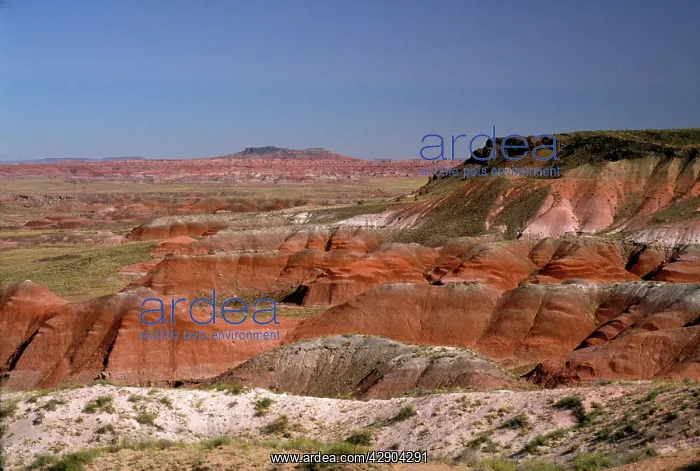 : USA - Arizona - Blue Mesa Petrified Forest National Park : USA - Arizona - Blue Mesa Petrified Forest National Park