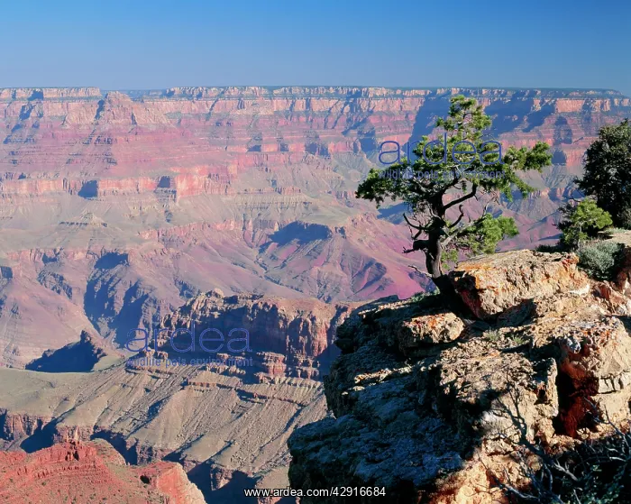  : USA - ARIZONA - GRAND CANYON