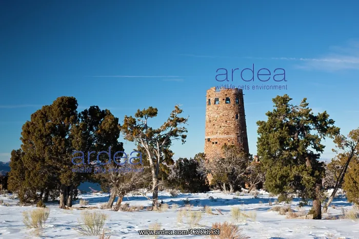 : USA, Arizona, Grand Canyon National Park : USA, Arizona, Grand Canyon National Park