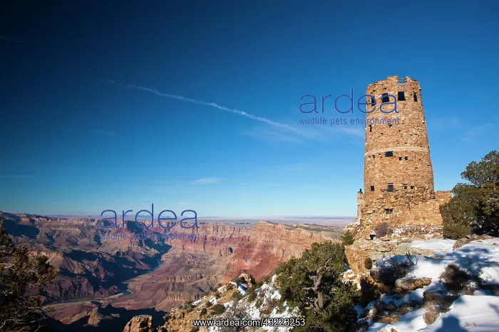: USA, Arizona, Grand Canyon National Park : USA, Arizona, Grand Canyon National Park